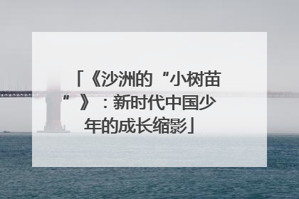 《沙洲的“小树苗”》：新时代中国少年的成长缩影