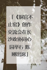 《铜官不止窑》创作交流会在长沙政协同心园举行 陈刚出席