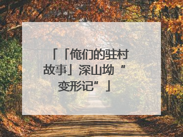 「俺们的驻村故事」深山坳“变形记”