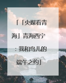 「央媒看青海」青海西宁：我和鸟儿的端午之约