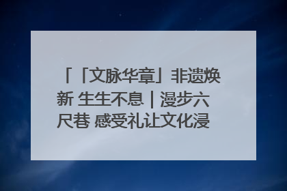 「文脉华章」非遗焕新 生生不息｜漫步六尺巷 感受礼让文化浸润的“巷”往生活