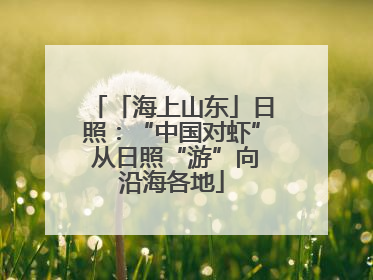 「海上山东」日照：“中国对虾” 从日照“游”向沿海各地