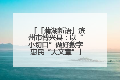 「蒲湖新语」滨州市博兴县：以“小切口”做好数字惠民“大文章”