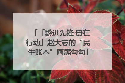 「黔进先锋·贵在行动」赵大志的“民生账本”画满勾勾
