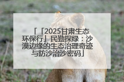 「2025甘肃生态环保行」民勤探绿：沙漠边缘的生态治理奇迹与防沙治沙密码