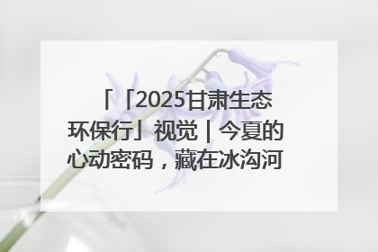 「2025甘肃生态环保行」视觉｜今夏的心动密码，藏在冰沟河的潋滟波光里