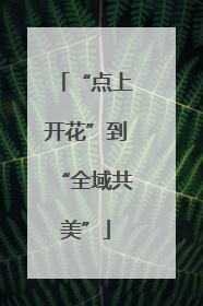 “点上开花”到“全域共美”