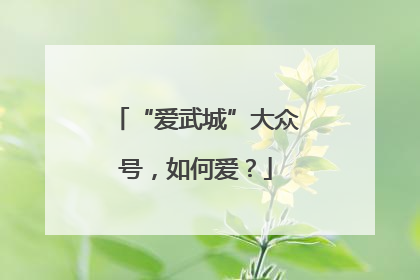 “爱武城”大众号，如何爱？