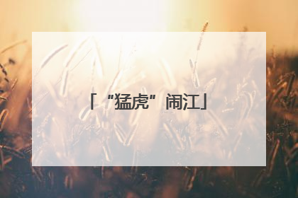 “猛虎”闹江