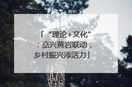 “理论+文化”：嘉兴黄岩联动，乡村振兴添活力