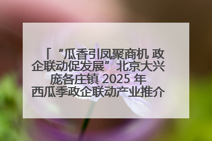 “瓜香引凤聚商机 政企联动促发展”北京大兴庞各庄镇 2025 年西瓜季政企联动产业推介活动圆满举行
