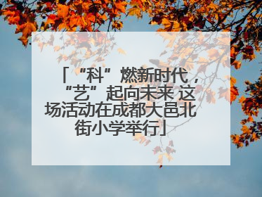 “科”燃新时代，“艺”起向未来 这场活动在成都大邑北街小学举行