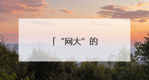 “网大”的困局与破局