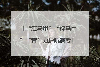 “红马甲”“绿马甲”“青”力护航高考