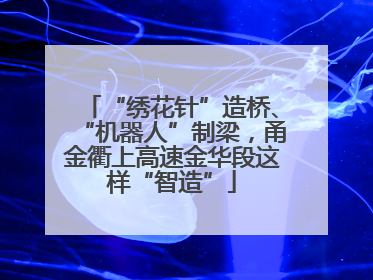“绣花针”造桥、“机器人”制梁，甬金衢上高速金华段这样“智造”