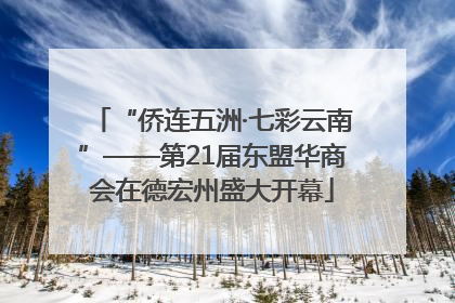 “侨连五洲·七彩云南”——第21届东盟华商会在德宏州盛大开幕