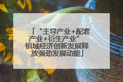 “主导产业+配套产业+衍生产业” 镇域经济创新发展释放强劲发展动能