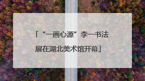 “一画心源”李一书法展在湖北美术馆开幕