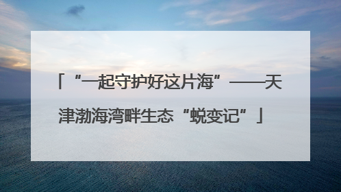 “一起守护好这片海”——天津渤海湾畔生态“蜕变记”