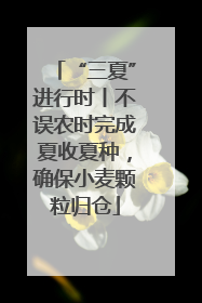 “三夏”进行时丨不误农时完成夏收夏种，确保小麦颗粒归仓