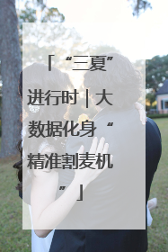 “三夏”进行时｜大数据化身“精准割麦机”