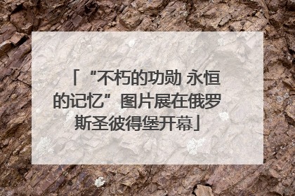 “不朽的功勋 永恒的记忆”图片展在俄罗斯圣彼得堡开幕