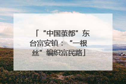 “中国茧都”东台富安镇：“一根丝”编织富民路