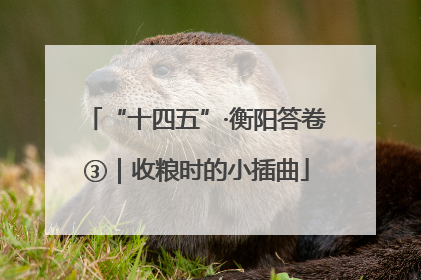 “十四五”·衡阳答卷③｜收粮时的小插曲