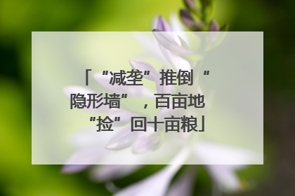 “减垄”推倒“隐形墙”，百亩地“捡”回十亩粮