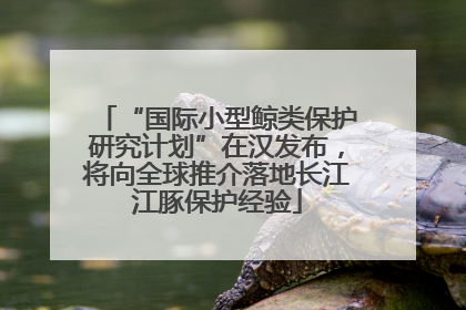 “国际小型鲸类保护研究计划”在汉发布，将向全球推介落地长江江豚保护经验