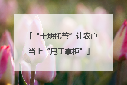 “土地托管”让农户当上“甩手掌柜”