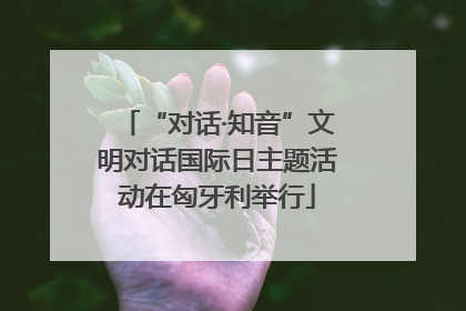 “对话·知音”文明对话国际日主题活动在匈牙利举行