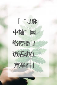 “寻脉中轴”网络传播寻访活动在京举行