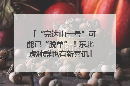 “完达山一号”可能已“脱单”！东北虎种群也有新喜讯