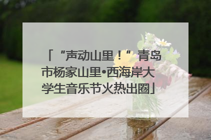 “声动山里！”青岛市杨家山里•西海岸大学生音乐节火热出圈