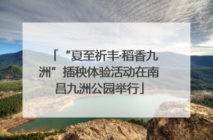 “夏至祈丰·稻香九洲”插秧体验活动在南昌九洲公园举行