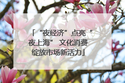 “夜经济”点亮“夜上海” 文化消费绽放市场新活力