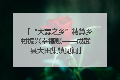 “大蒜之乡”精算乡村振兴幸福账——成武县大田集镇见闻