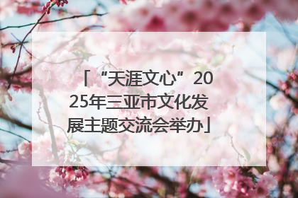 “天涯文心”2025年三亚市文化发展主题交流会举办