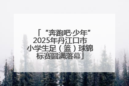 “奔跑吧·少年”2025年丹江口市小学生足（篮）球锦标赛圆满落幕