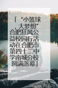 “小篮球，大梦想”合肥狂风公益校园行活动在合肥市第四十二中学南城分校圆满落幕