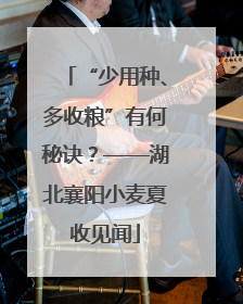“少用种、多收粮”有何秘诀？——湖北襄阳小麦夏收见闻