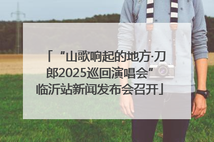 “山歌响起的地方·刀郎2025巡回演唱会”临沂站新闻发布会召开
