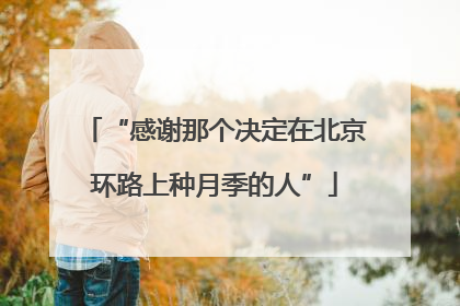“感谢那个决定在北京环路上种月季的人”