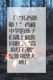 “扎西德勒！”西藏中学的孩子们遇上藏族同胞，“高原红石榴”绽放荆楚大地