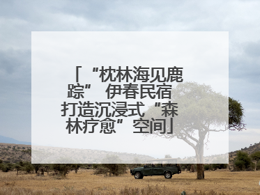 “枕林海见鹿踪” 伊春民宿打造沉浸式“森林疗愈”空间