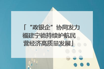 “政银企”协同发力 福建宁德持续护航民营经济高质量发展