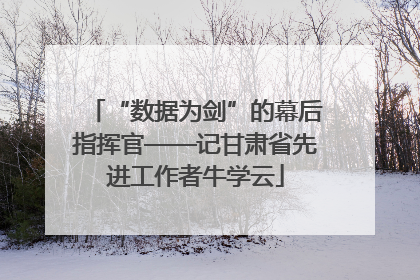 “数据为剑”的幕后指挥官——记甘肃省先进工作者牛学云