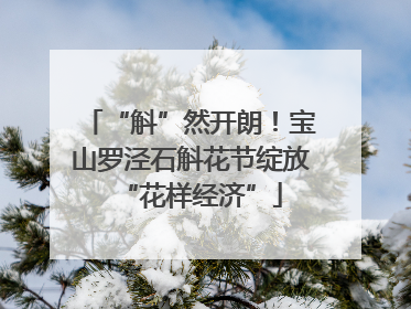 “斛”然开朗！宝山罗泾石斛花节绽放“花样经济”