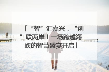 “智”汇嘉兴，“创”联两岸！一场跨越海峡的智慧盛宴开启